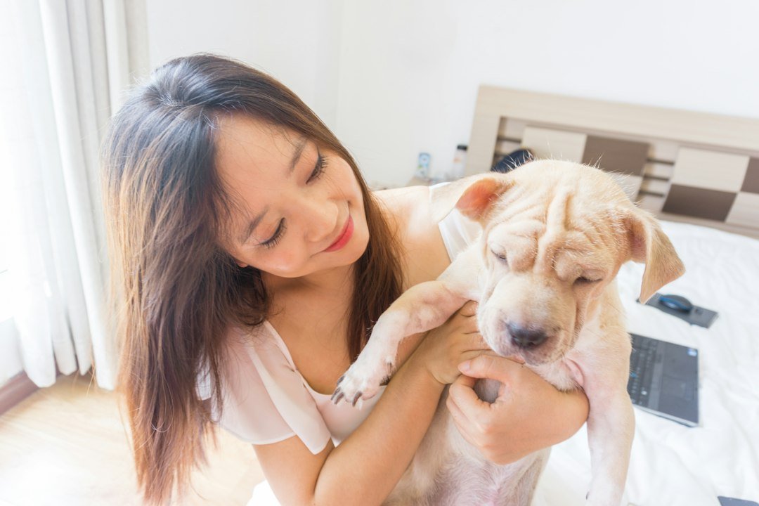 Persona abrazando a su perro recién llegado a casa