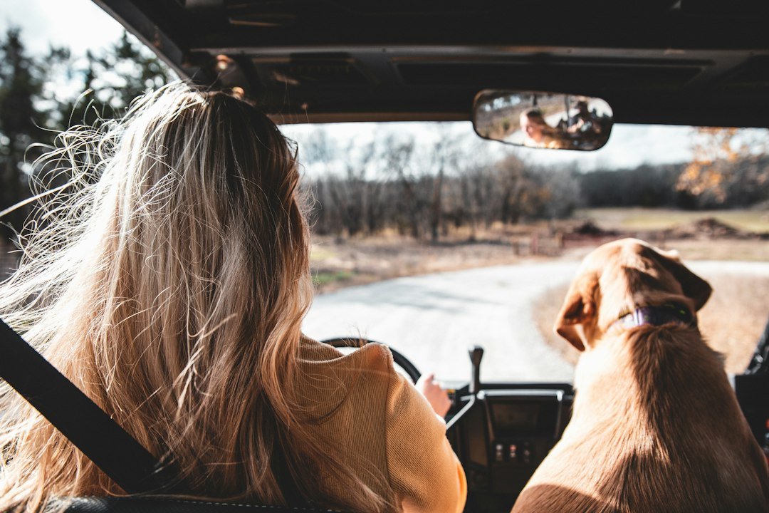 Persona junto a su perro en el asiento del coche, listos para viajar con seguridad