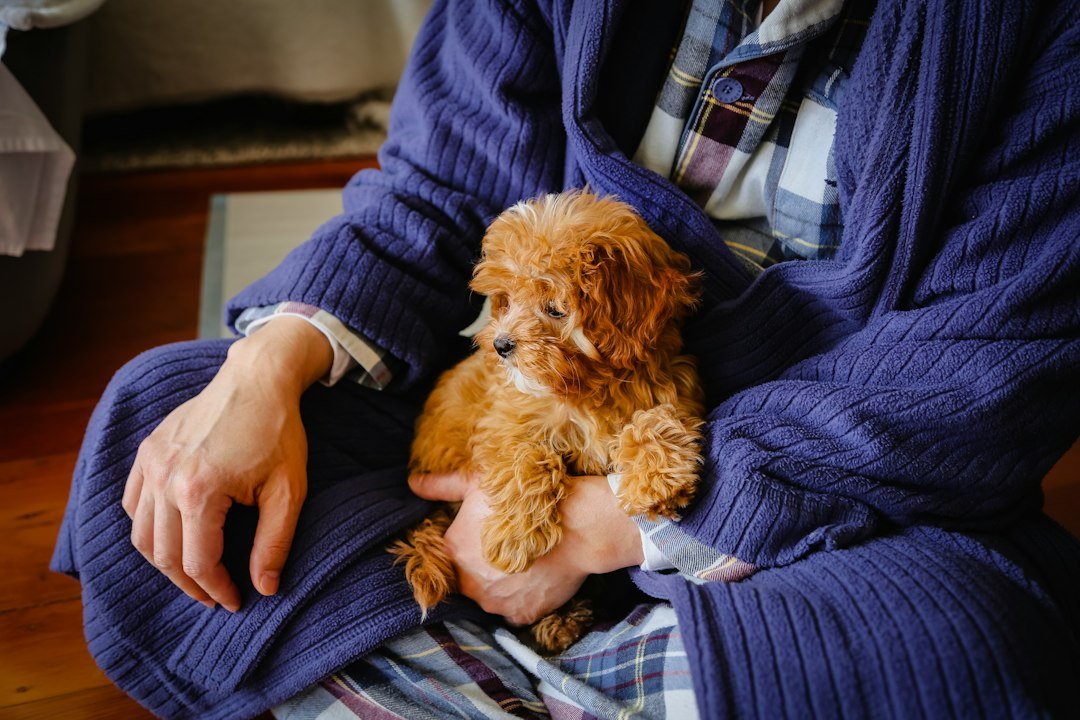 Persona cargando y acariciando a su perro en casa