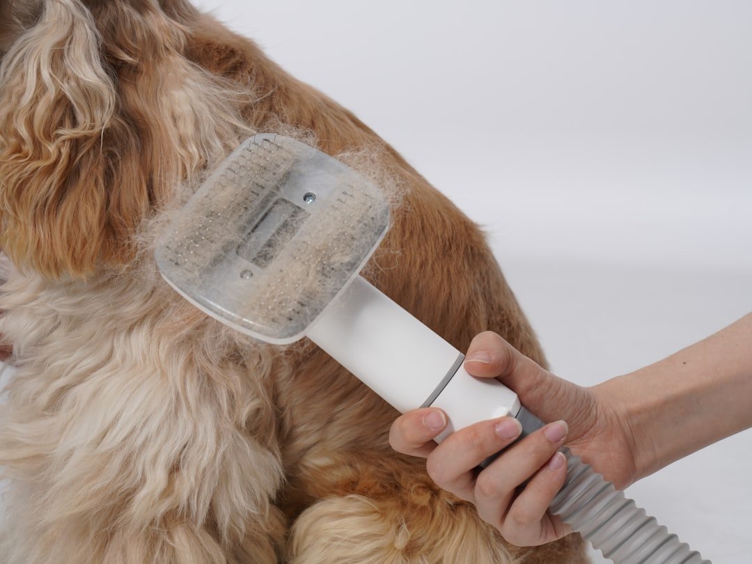 Cepillo removiendo el pelo suelto de un perro de pelo largo