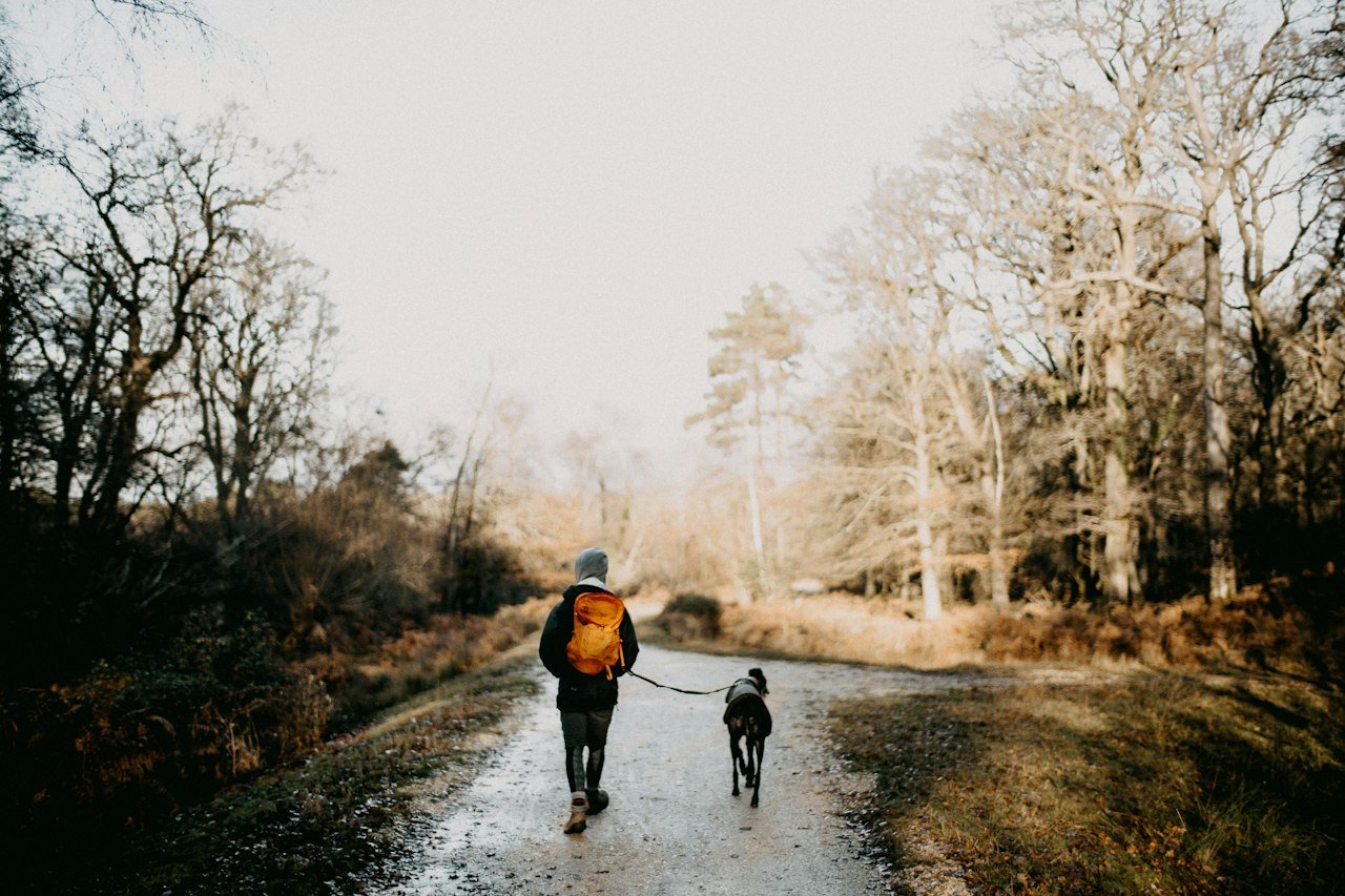 Persona paseando a su perro por un sendero al aire libre