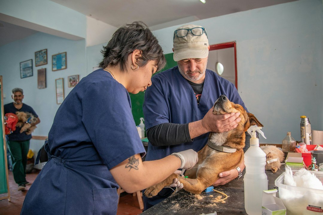 Familia lleva a su perro a consulta veterinaria