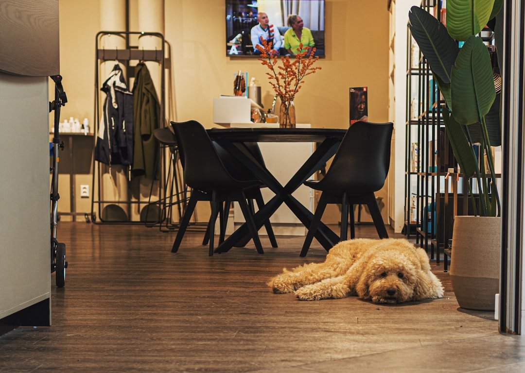 Perro descansando tranquilo en el suelo de una sala acogedora