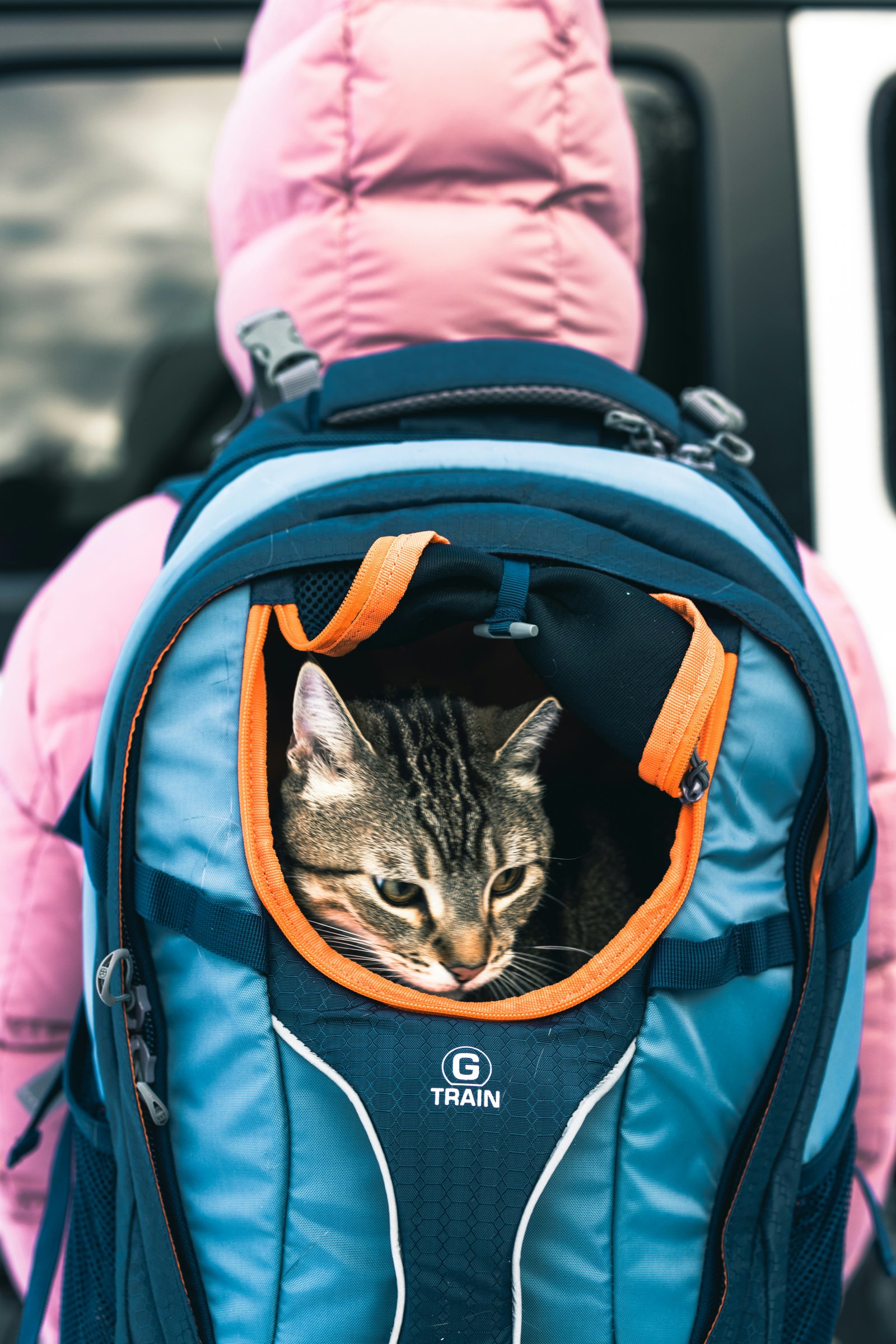 amor-peludo-mochila-transportadora.jpg