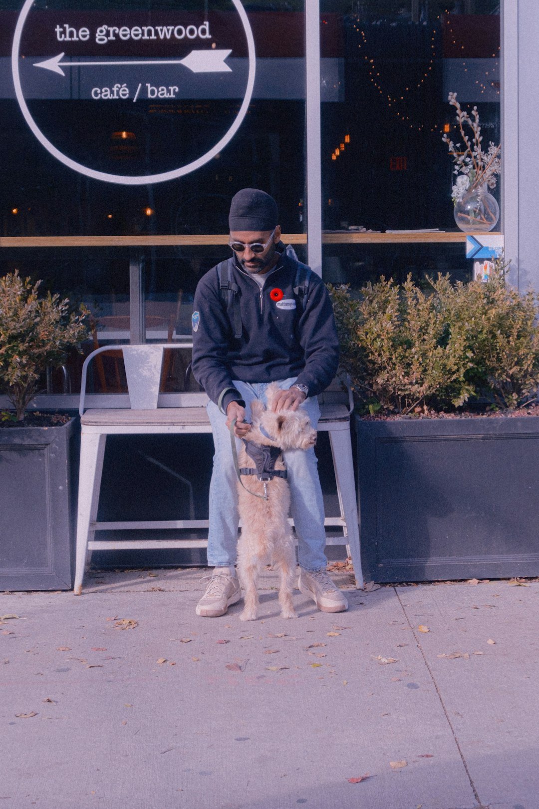 amor-peludo-pet-friendly-cafe.jpg