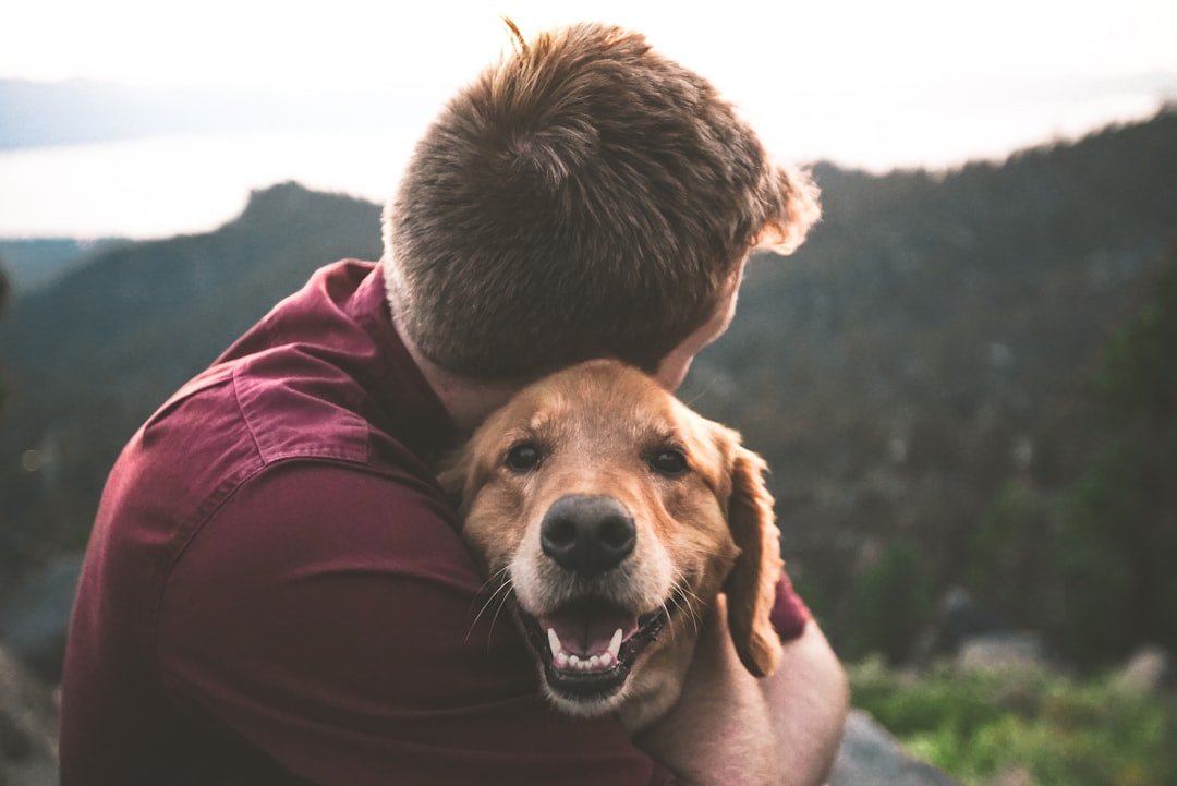 amor-peludo-nueva-mascota-en-casa.jpg