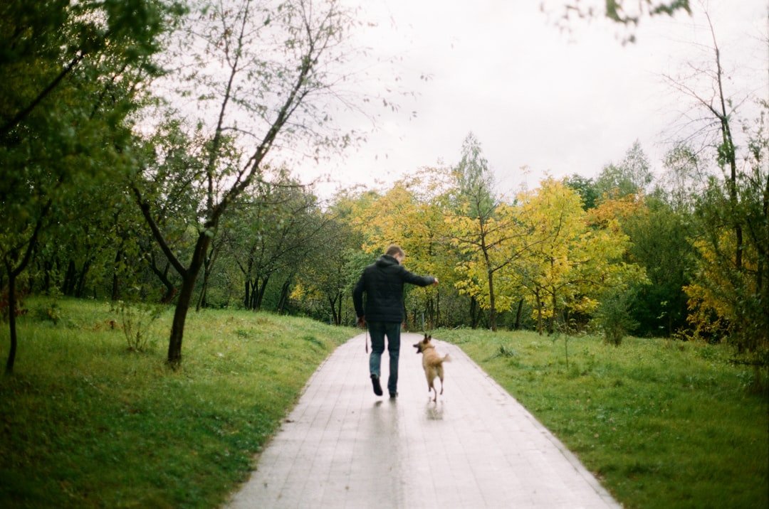 amor-peludo-chubasquero-lluvia-perros.jpg