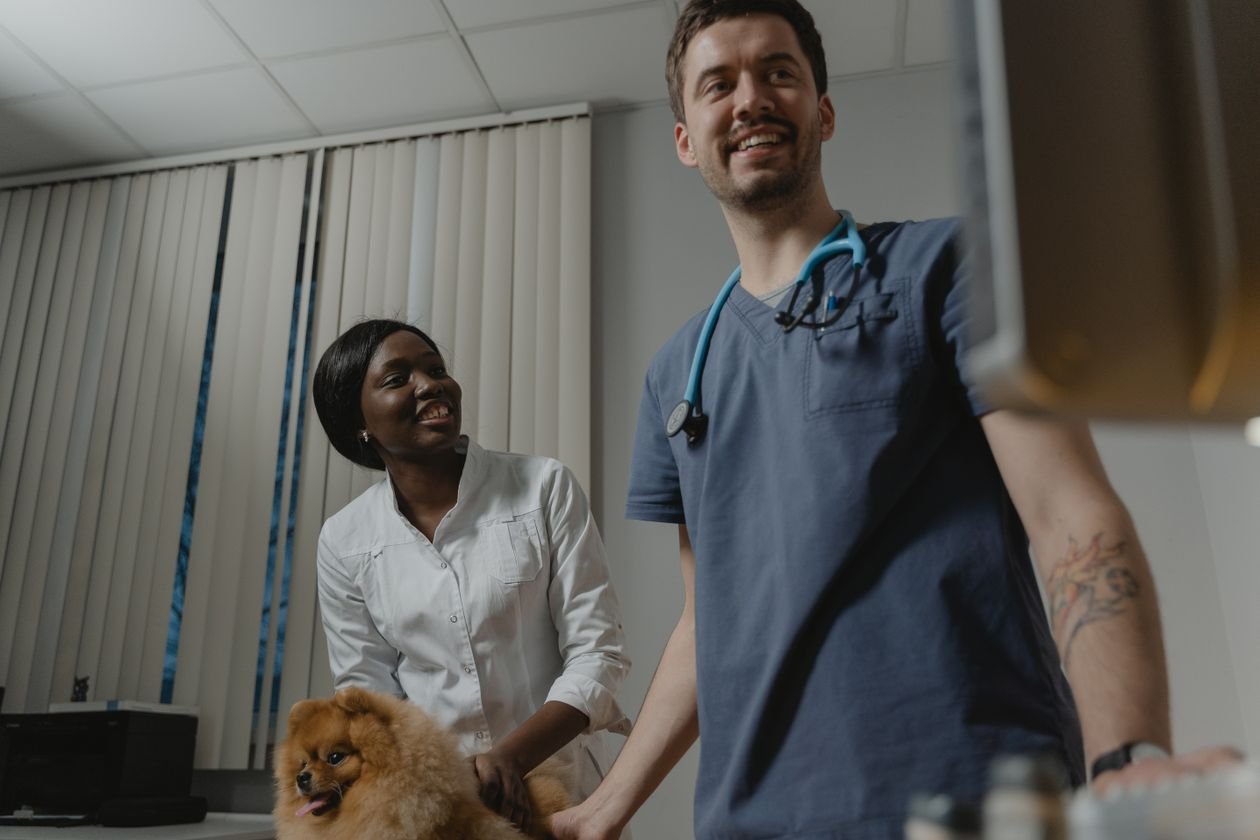 Sobrepeso en Perros y Gatos: Cómo Detectarlo a Tiempo y Ayudar a tu Mascota
