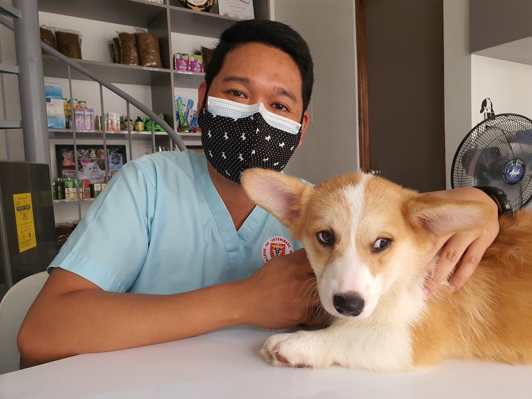 amor-peludo-esterilizacion-recuperacion.jpg